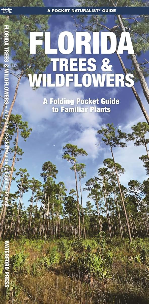 Florida Trees & Wildflowers: A Folding Pocket Guide to Familiar Plants (Wildlife and Nature Identification)