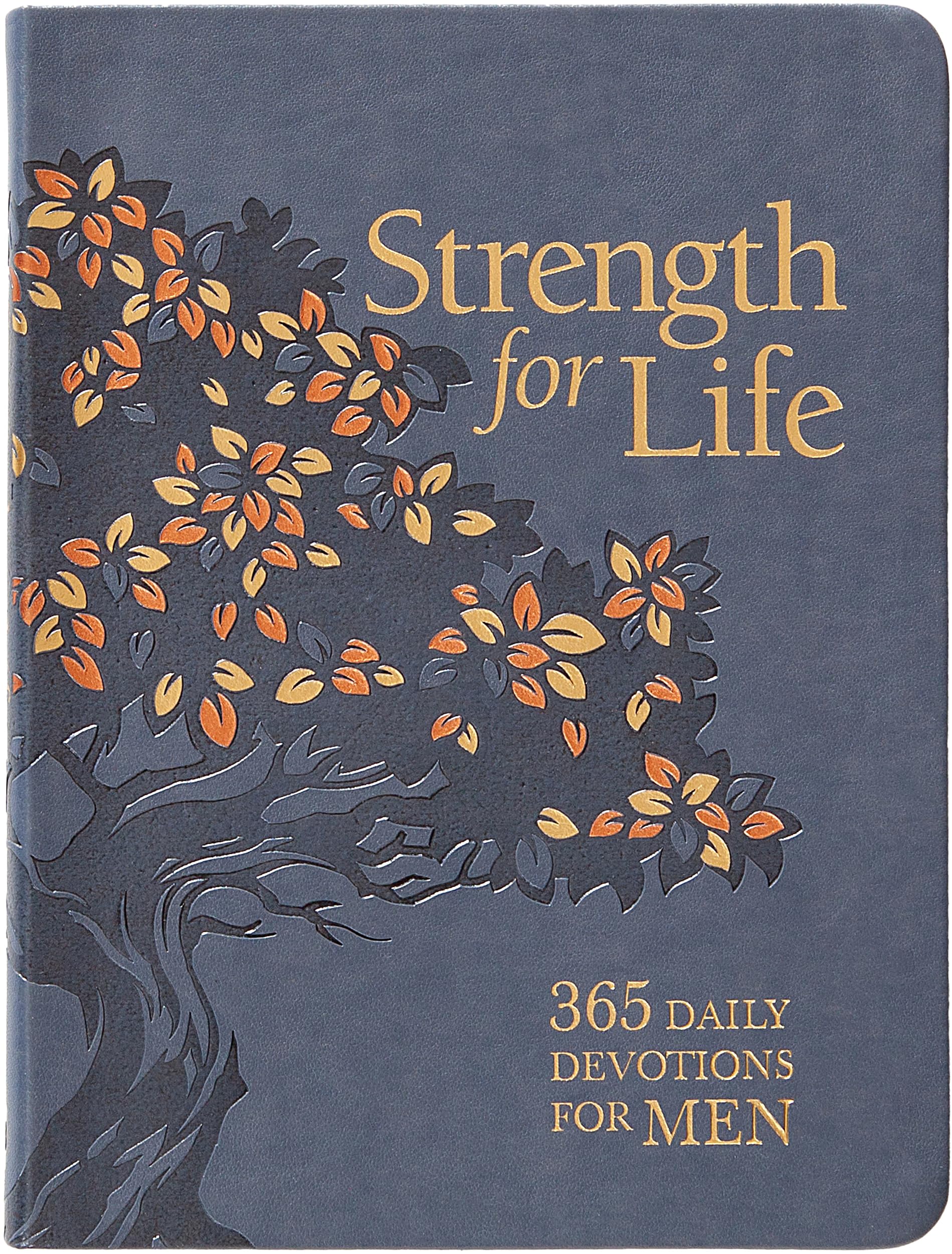 Strength for Life: 365 Daily Devotions for Men - Find Courage to Face Every Challenge