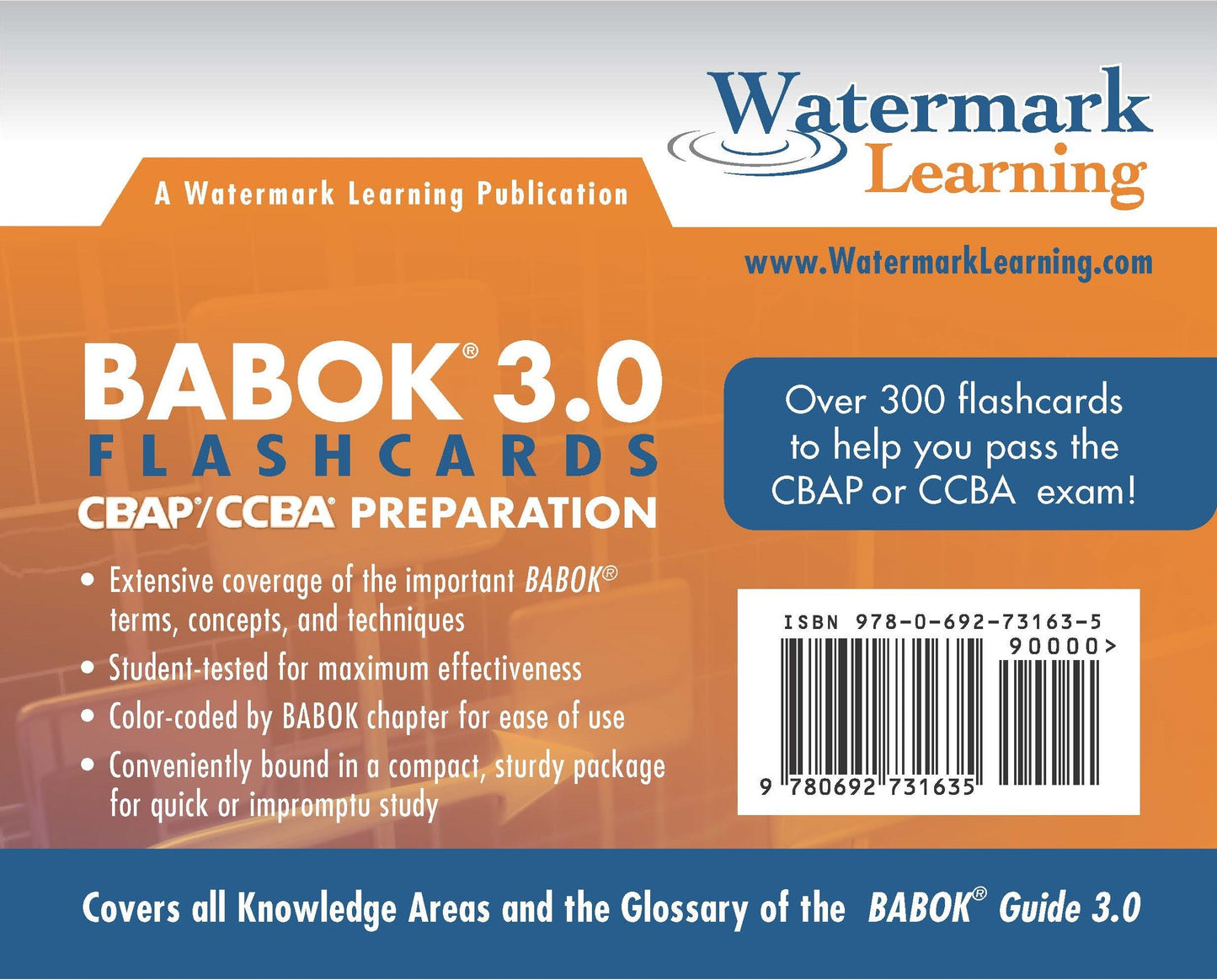 BABOK 3.0 Flashcards