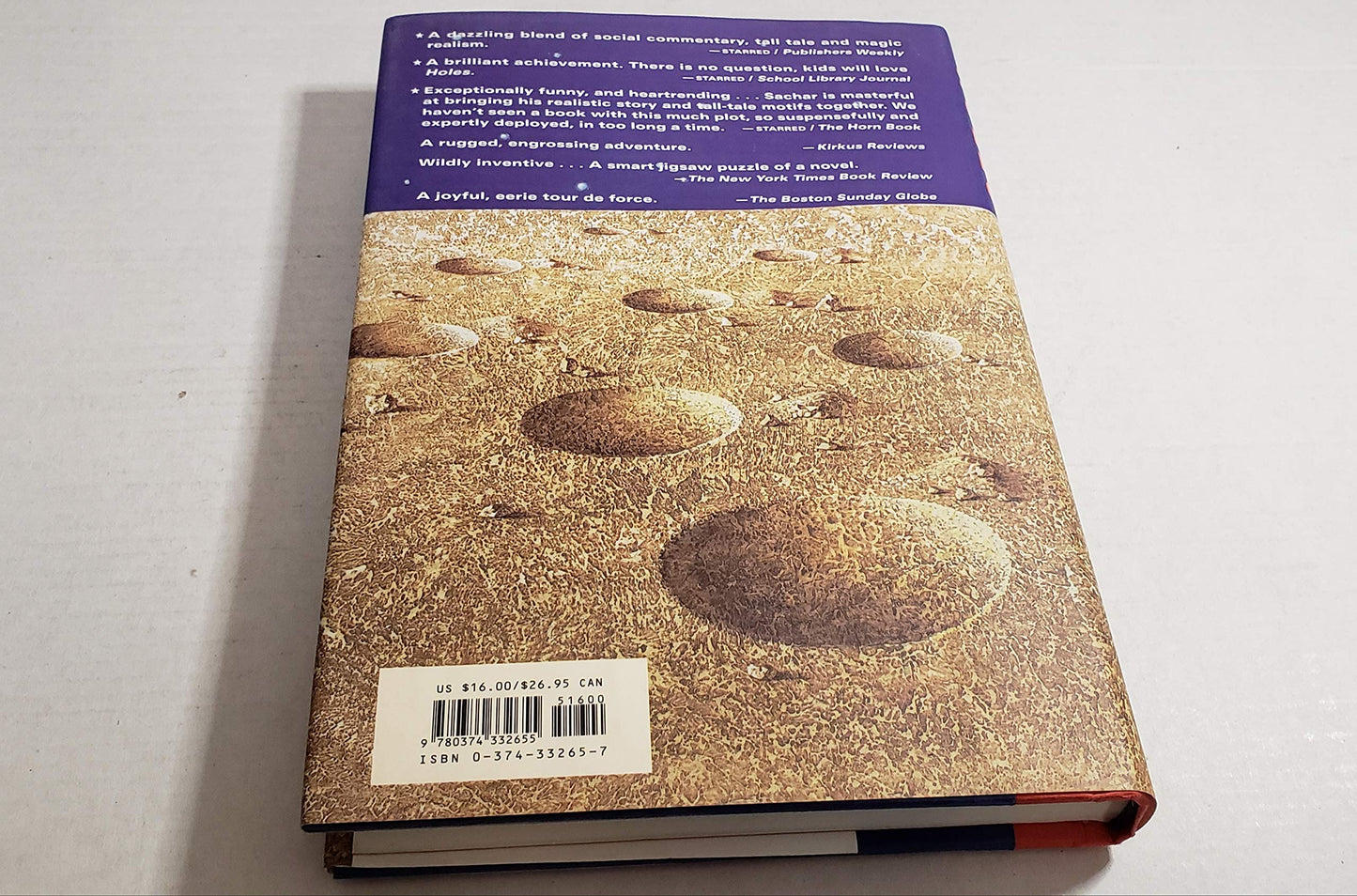Holes (Newbery Medal Book) by Louis Sachar