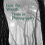 Into the Woods: Trees and Photography