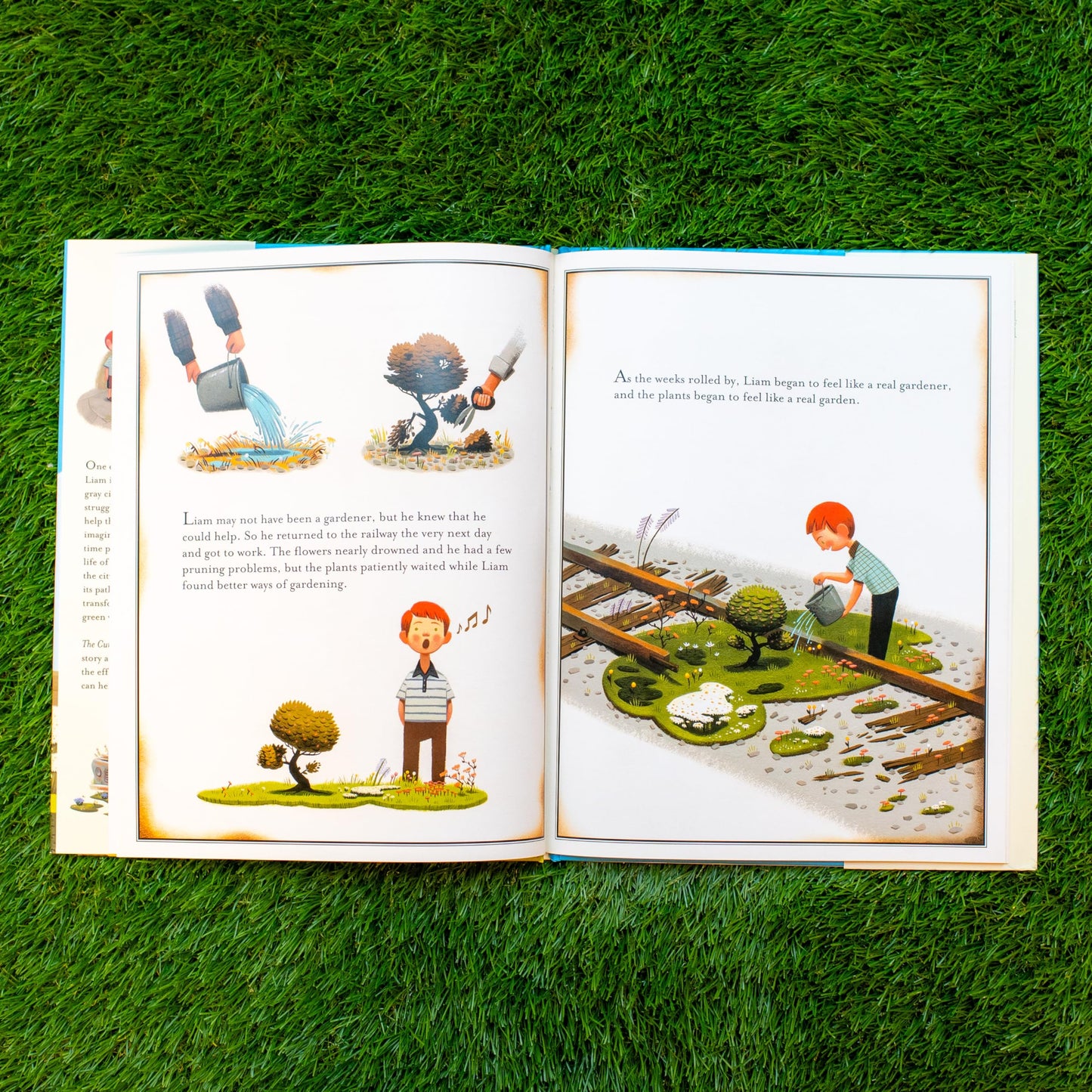 The Curious Garden