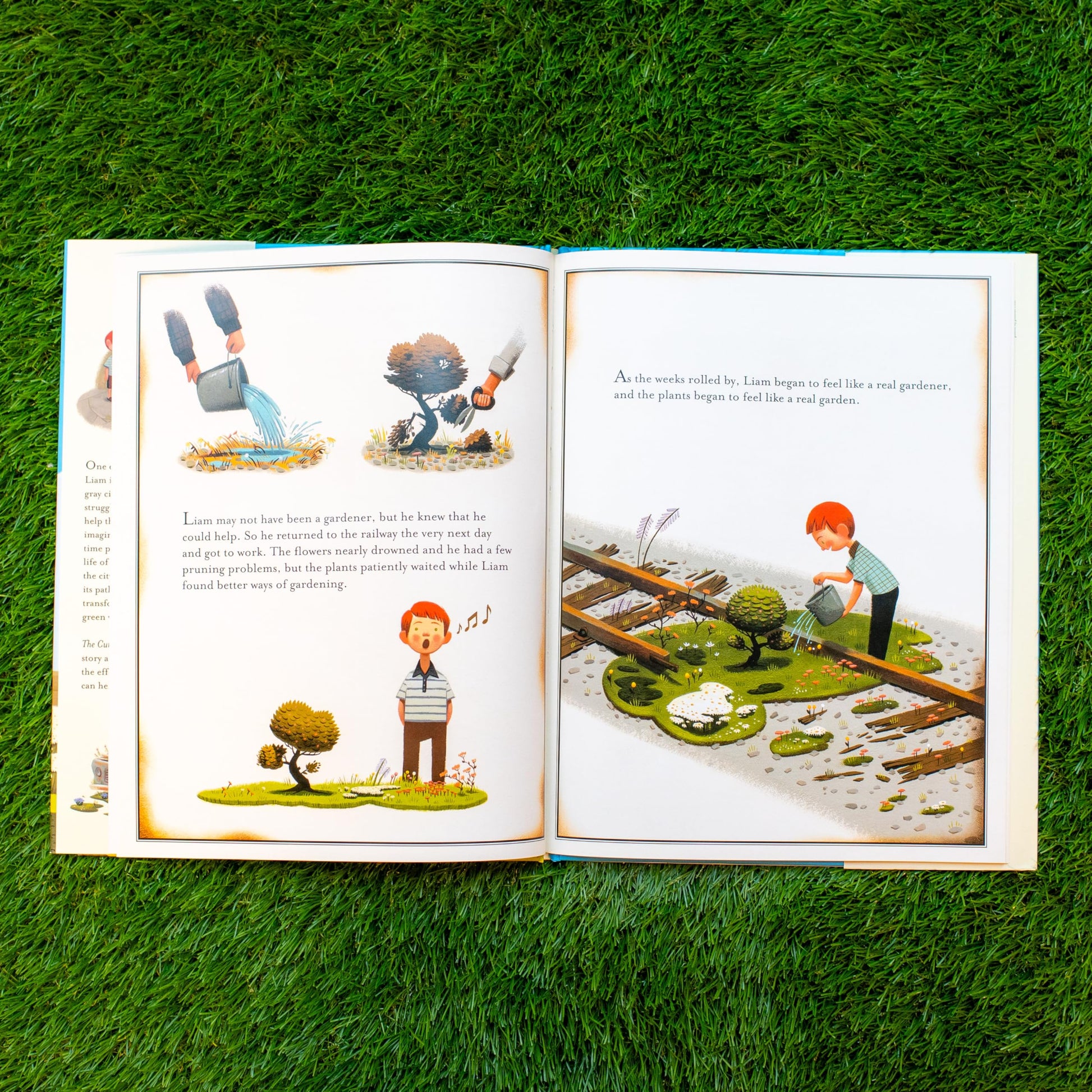 The Curious Garden