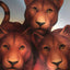 The Cinder-Eyed Cats by Rohmann, Eric