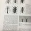 Borror and DeLong's Introduction to the Study of Insects