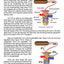 Refrigerant Charging and Service Procedures for Air Conditioning