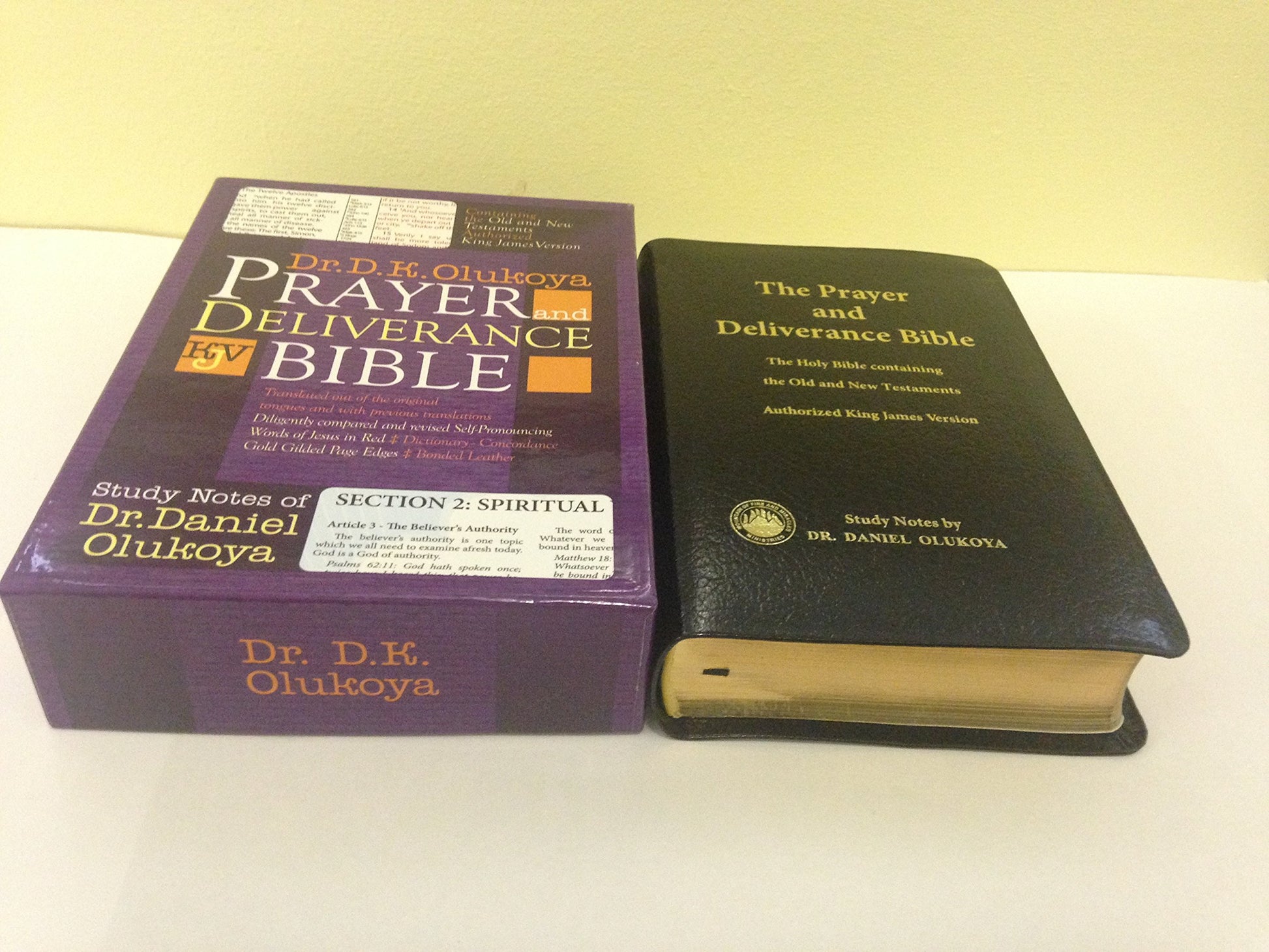 Prayer and Deliverance Bible (Big)