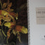 The Forgotten Orchids of Alexandre Brun