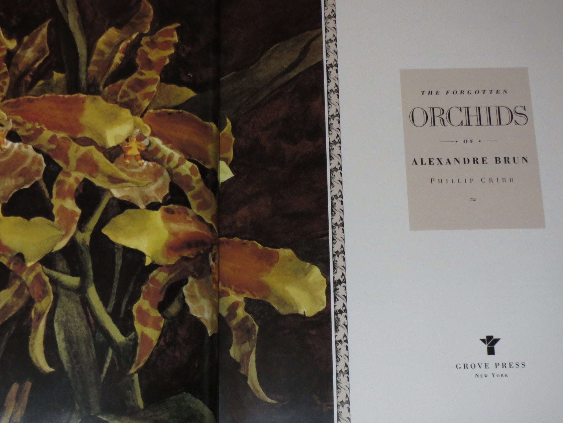 The Forgotten Orchids of Alexandre Brun