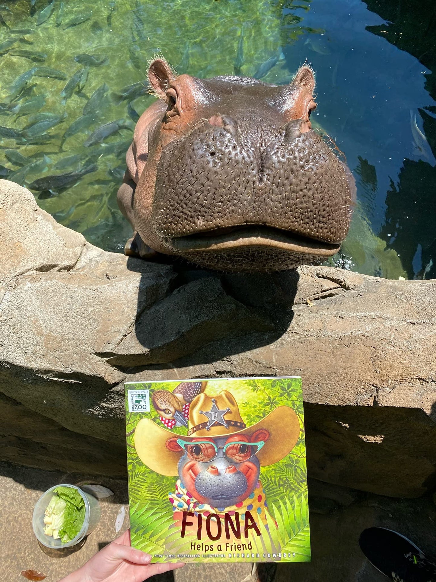 Fiona Helps a Friend (A Fiona the Hippo Book)