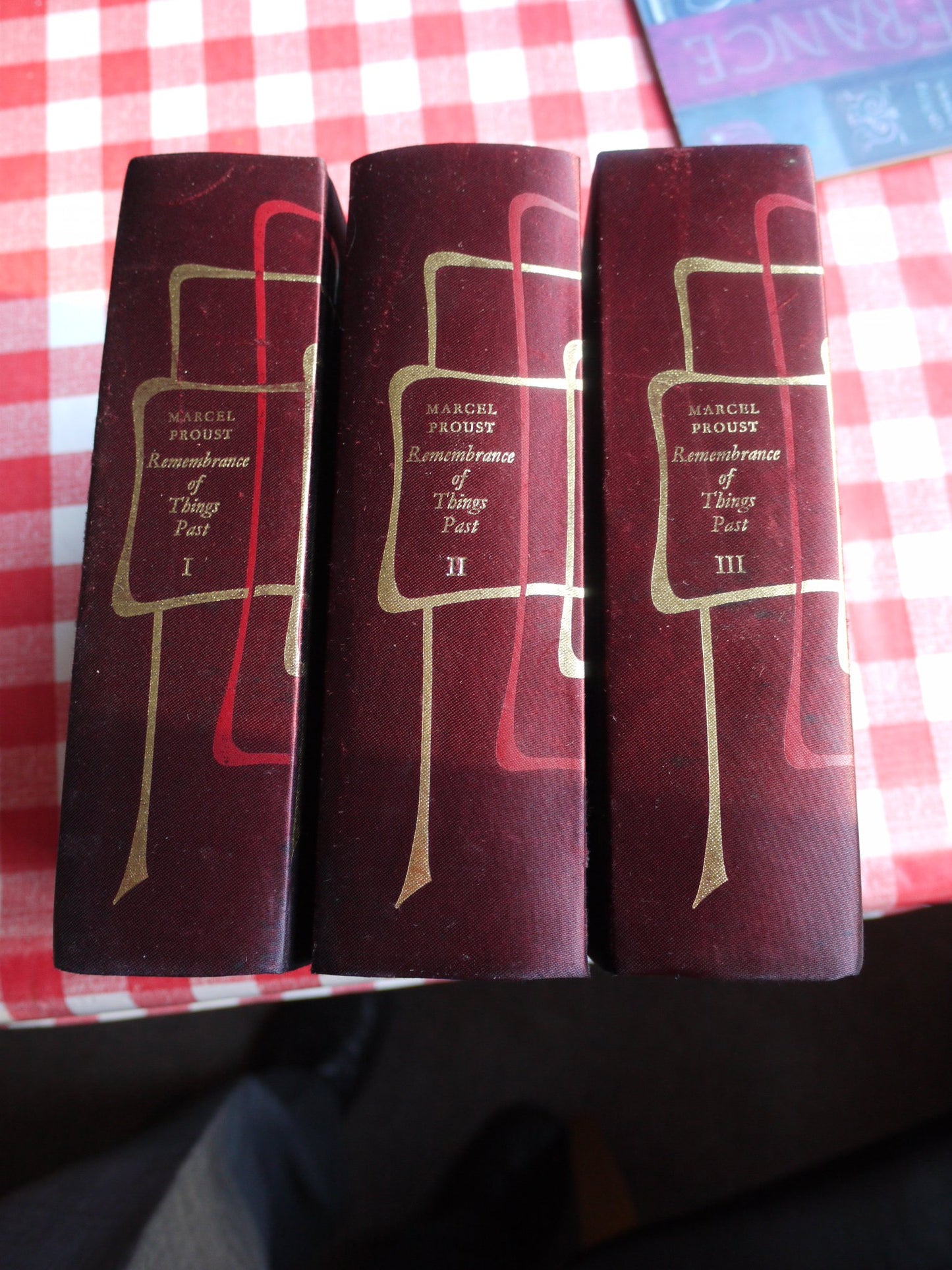 Remembrance of Things Past by Proust, Marcel