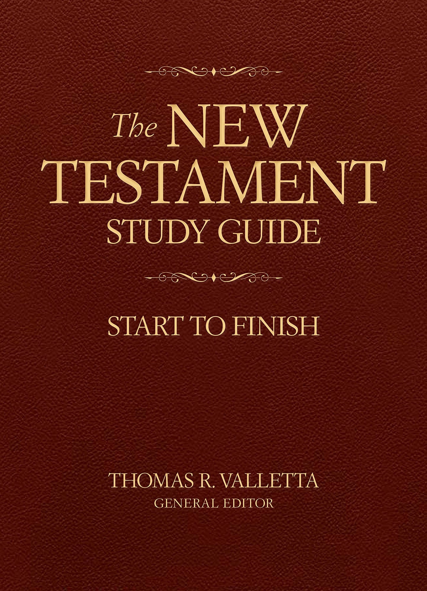 New Testament Study Guide