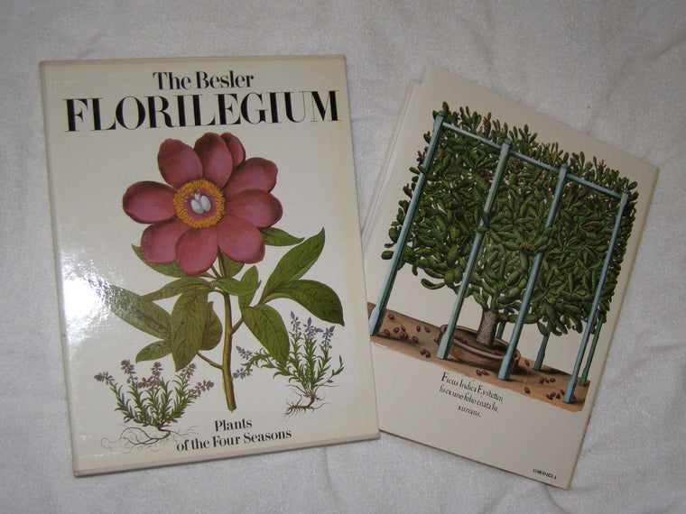 The Besler Florilegium: Plants of the Four Seasons