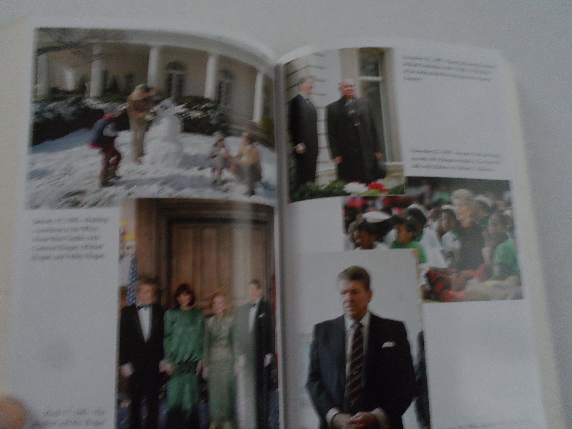 The Reagan Diaries