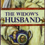 The Widow's Husband by Tamim Ansary