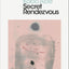 Secret Rendezvous (Penguin Modern Classics)
