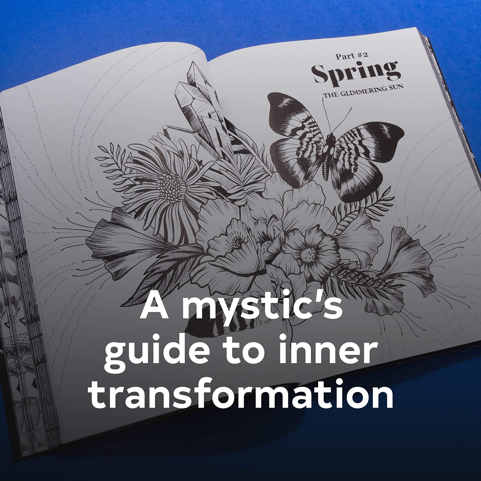 The Seasonal Soul: A Mystic's Guide to Inner Transformation (Guide to Self-Discovery and Personal Growth, Crystal and Chakra Book)