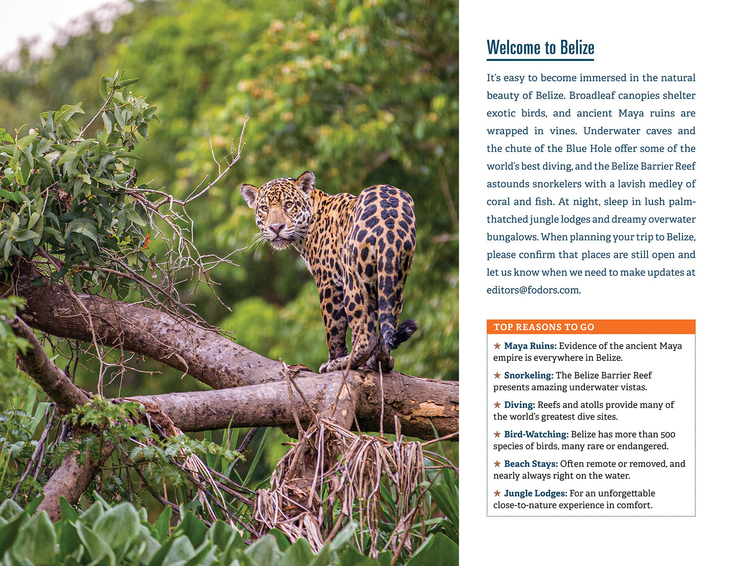 Fodor's Belize: with a Side Trip to Guatemala (Full-color Travel Guide)