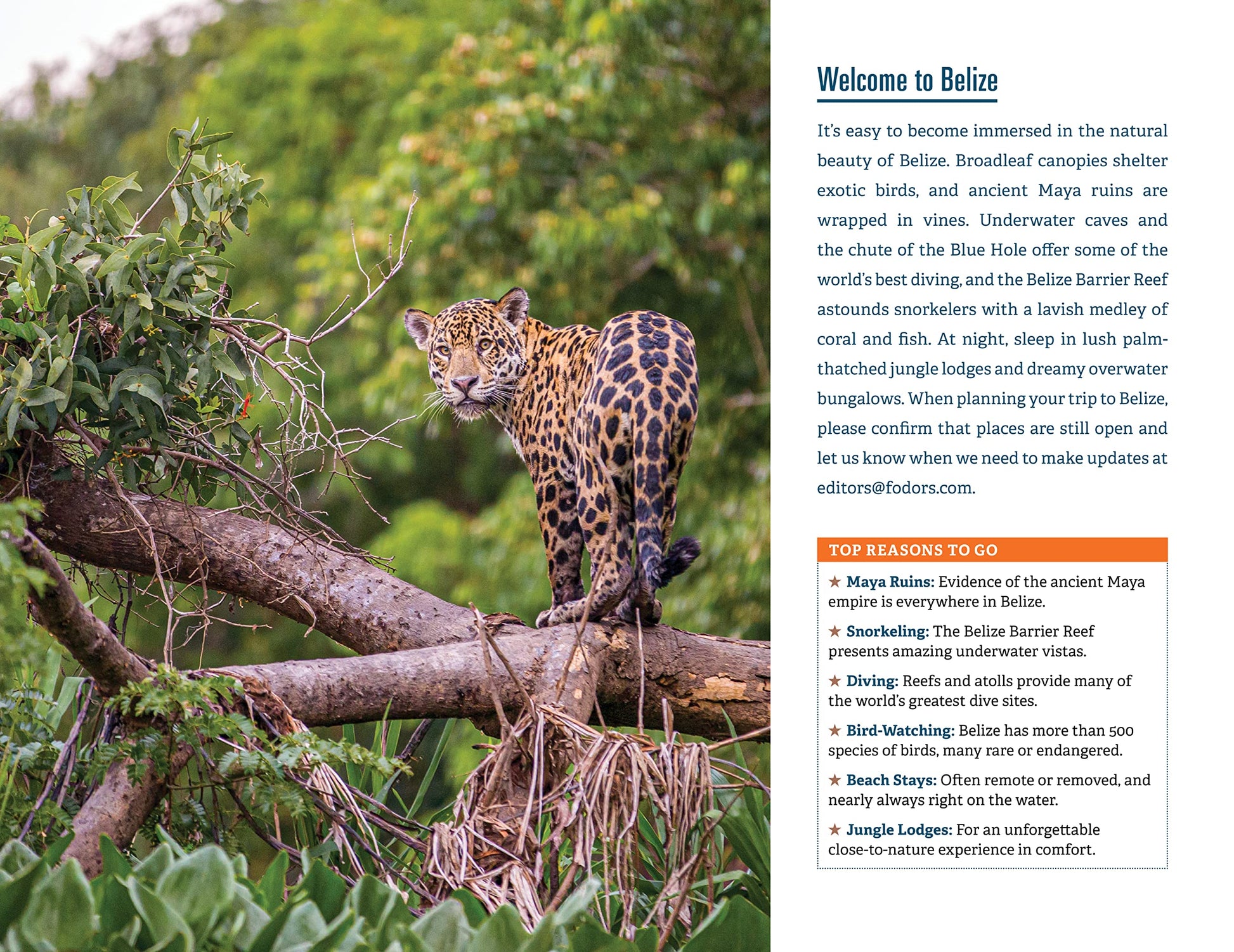 Fodor's Belize: with a Side Trip to Guatemala (Full-color Travel Guide)