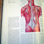Musculoskeletal System, Part 1: Anatomy, Physiology, and Metabolic Disorders (NETTER COLLECTION OF MEDICAL ILLUSTRATIONS)