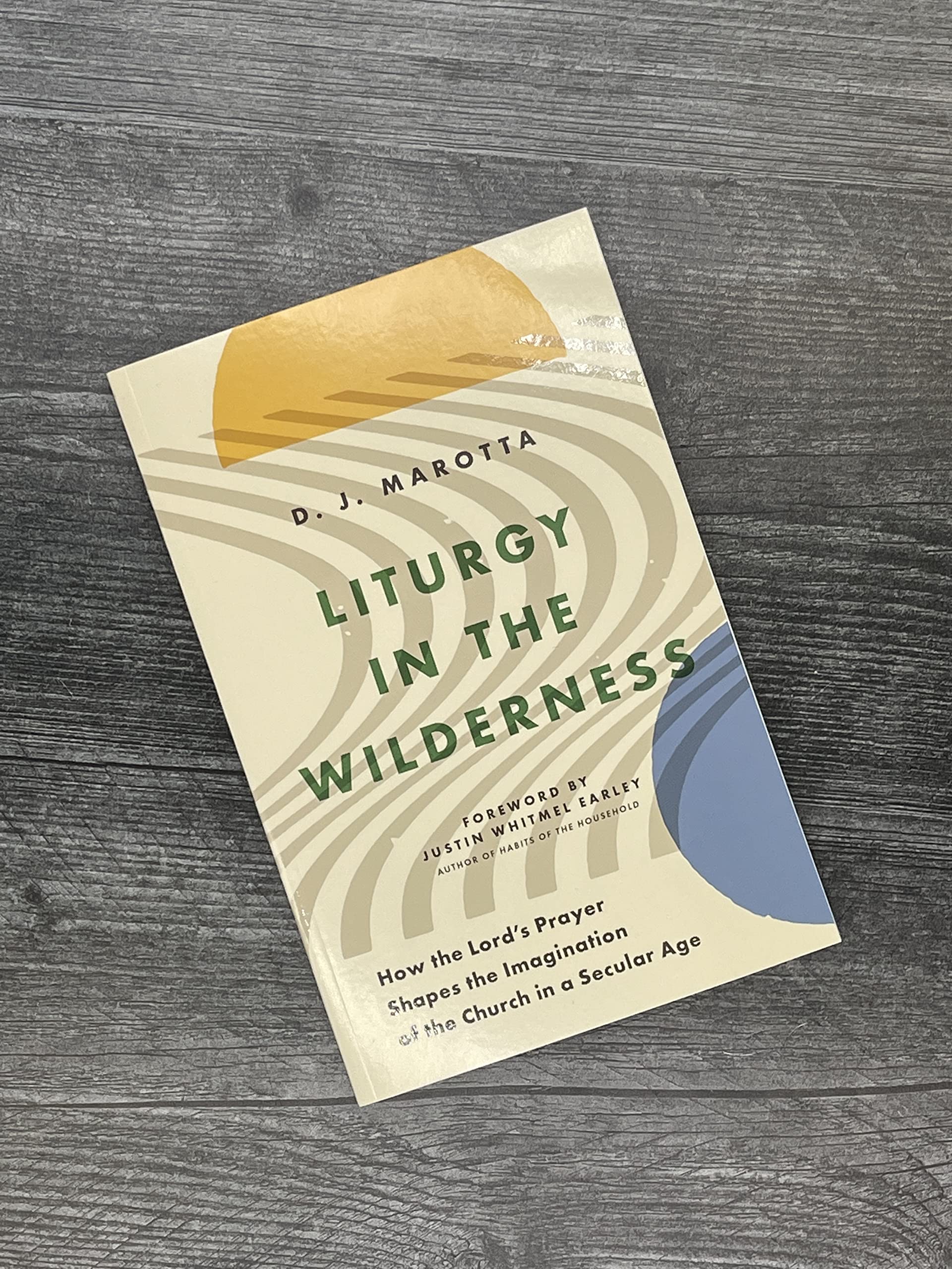 Liturgy in the Wilderness: How the Lord's Prayer Shapes the Imagination of the Church in a Secular Age