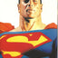Superman: The Greatest Stories Ever Told VOL 01