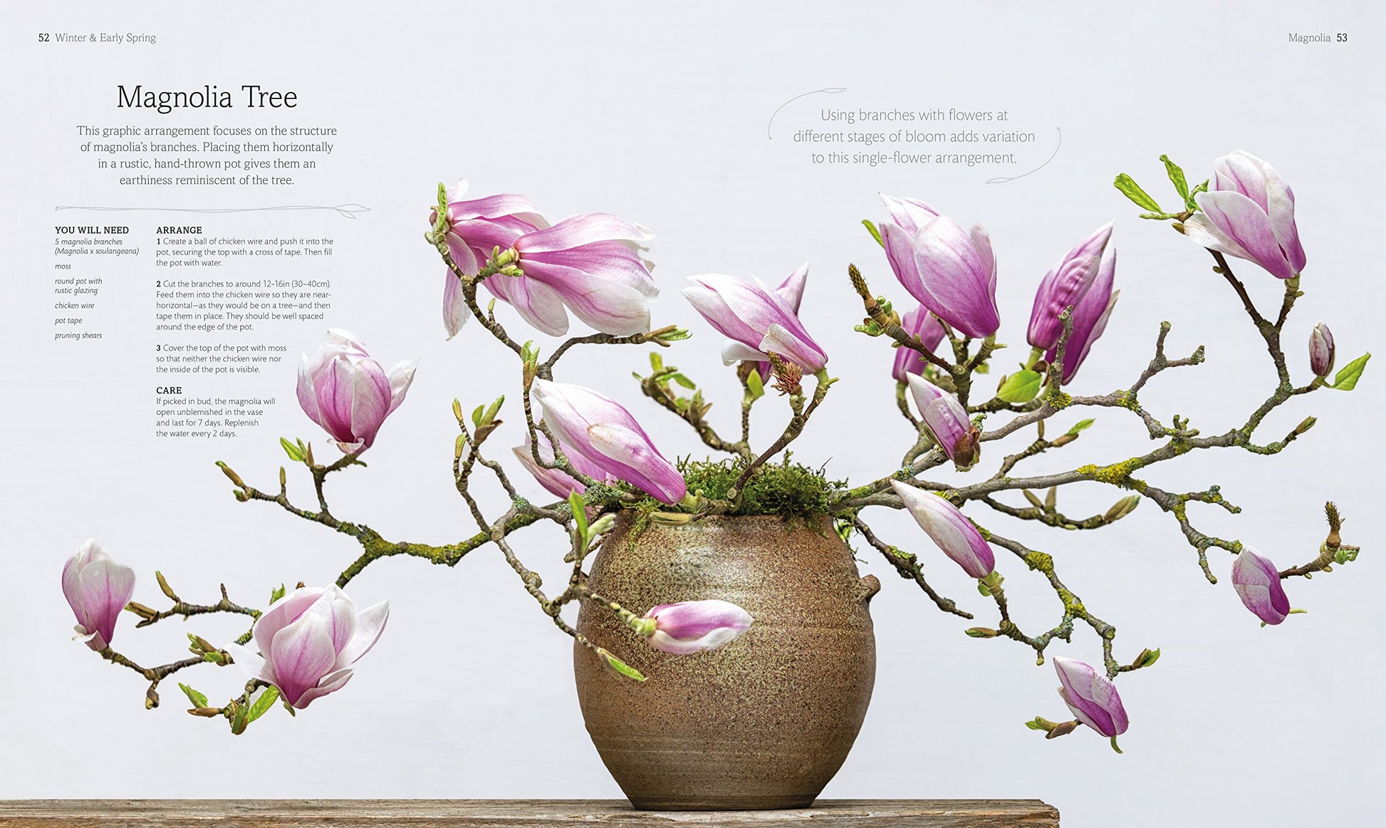 The Flower Book: Let the Beauty of Each Bloom Speak for Itself