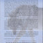 Yellowstone Wolves: A Chronicle of the Animal, the People, and the Politics