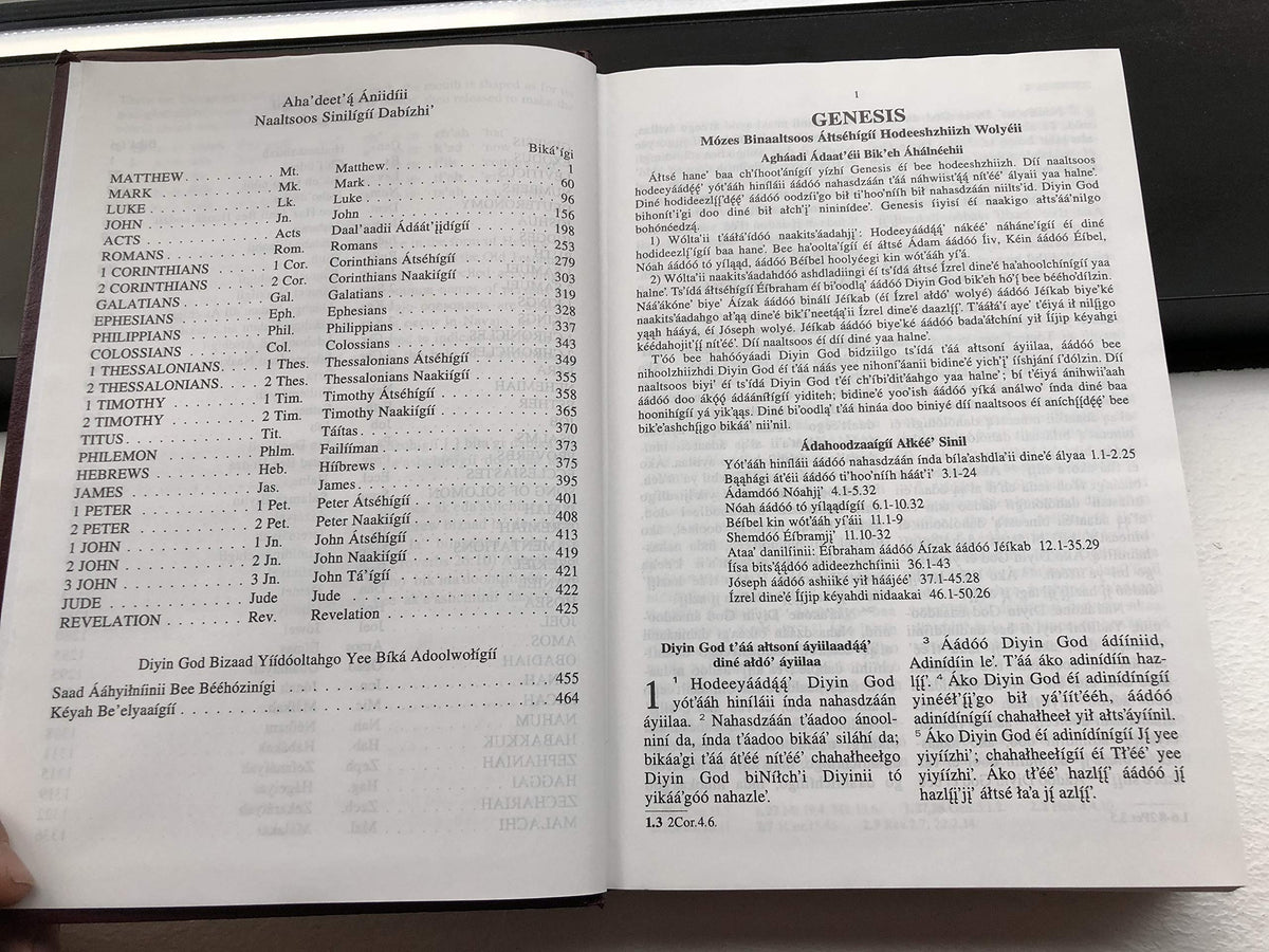 Diyin God Bizaad - Navajo Bible