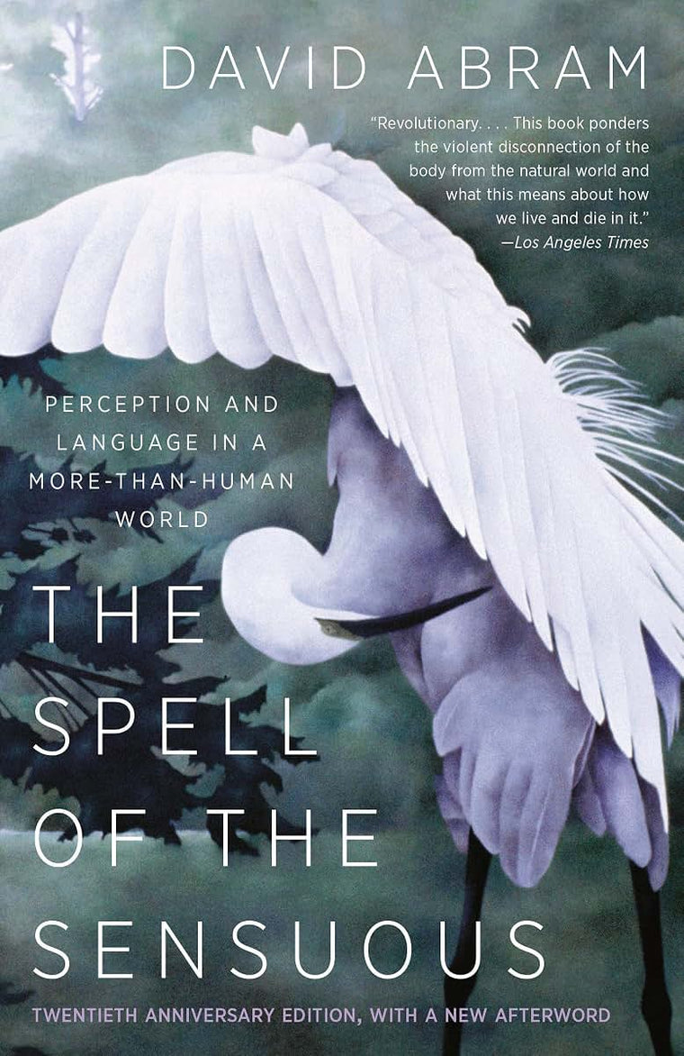 The Spell of the Sensuous: Perception and Language in a More