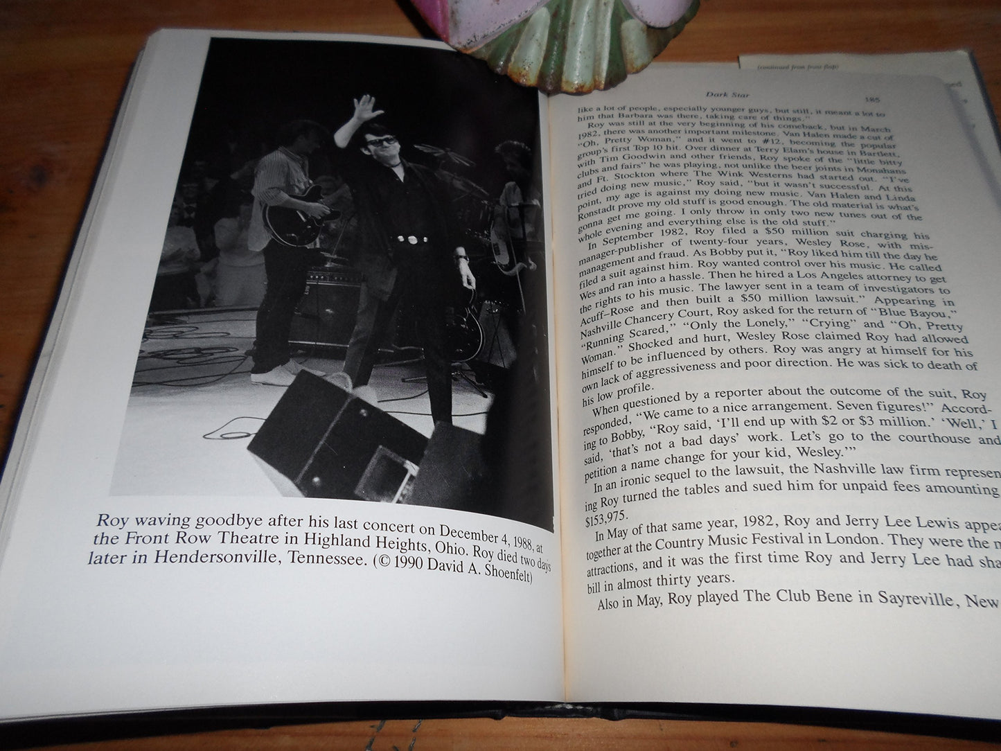 Dark Star: The Roy Orbison Story