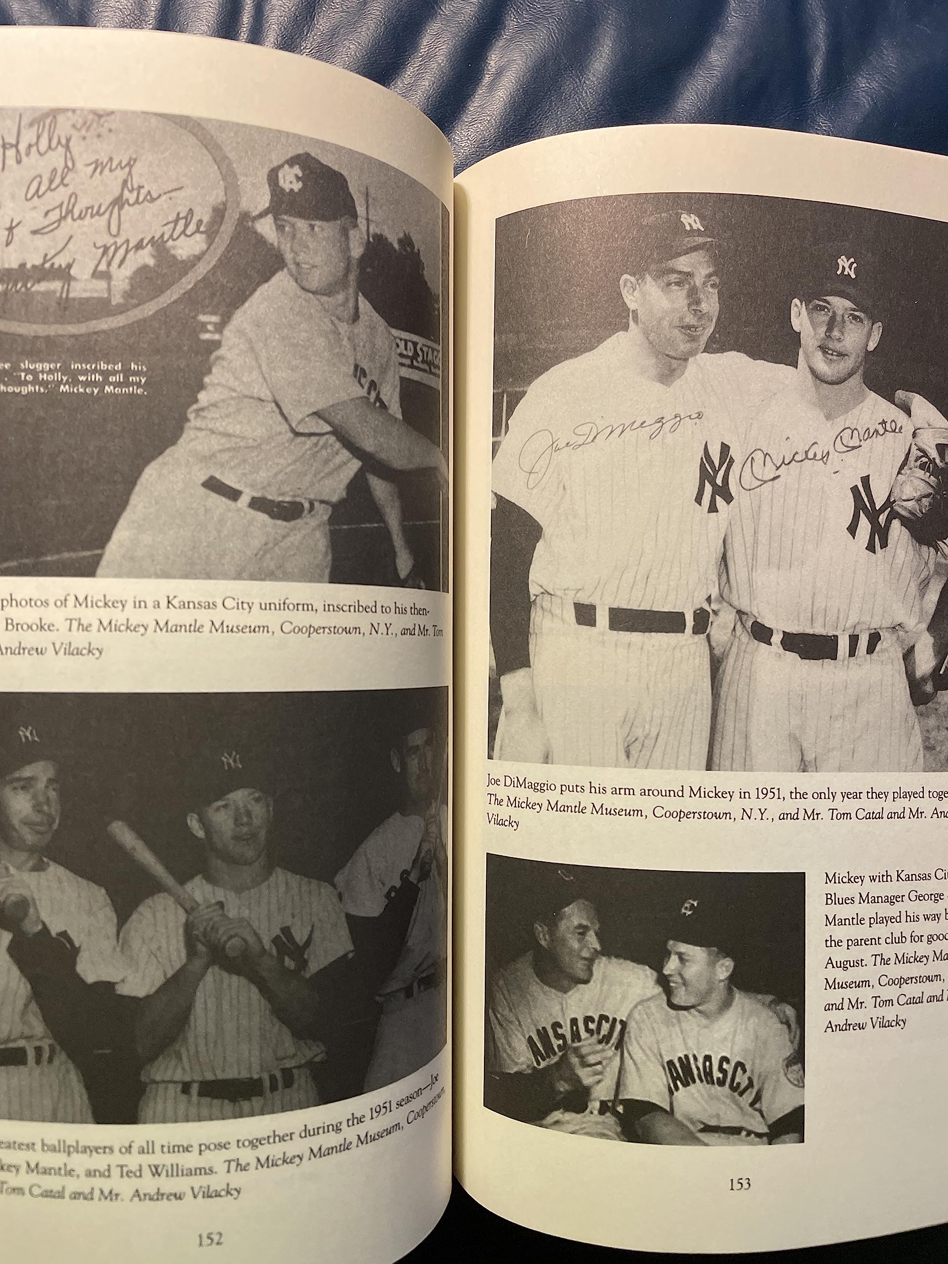 Mickey Mantle: America's Prodigal Son