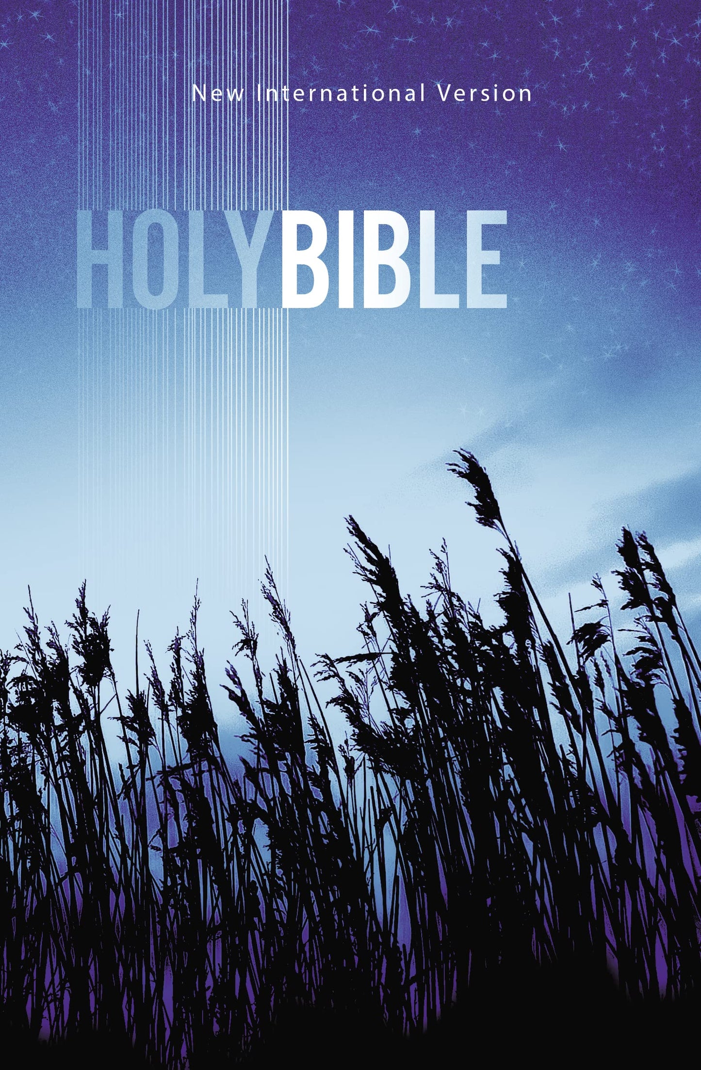 NIV, Value Outreach Bible, Paperback