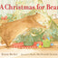 A Christmas for Bear (Bear and Mouse)