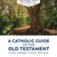 A Catholic Guide to the Old Testament (Great Adventure: Your Journey Through the Bible)