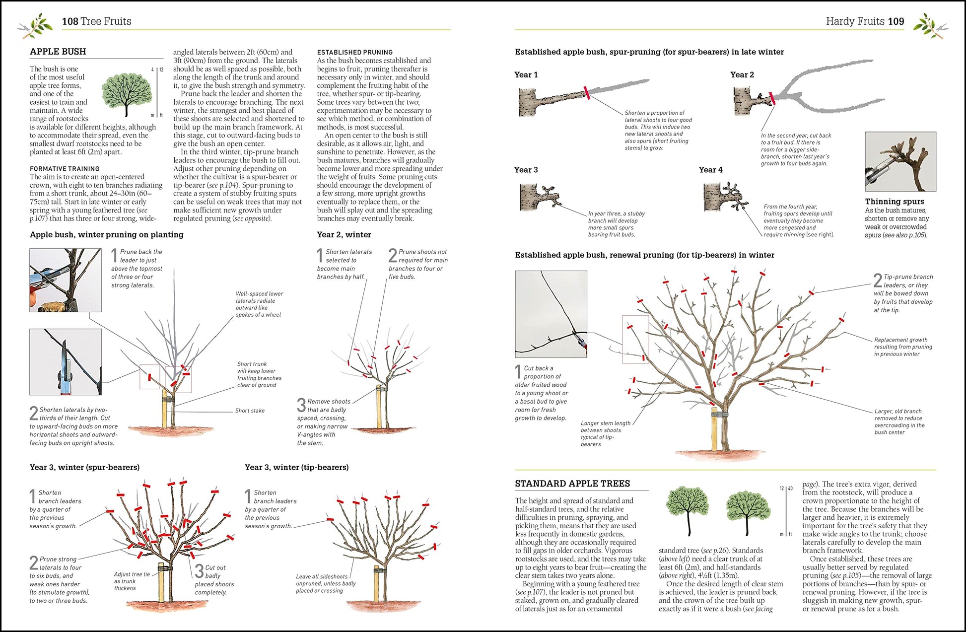 Pruning and Training, Revised New Edition: What, When, and How to Prune