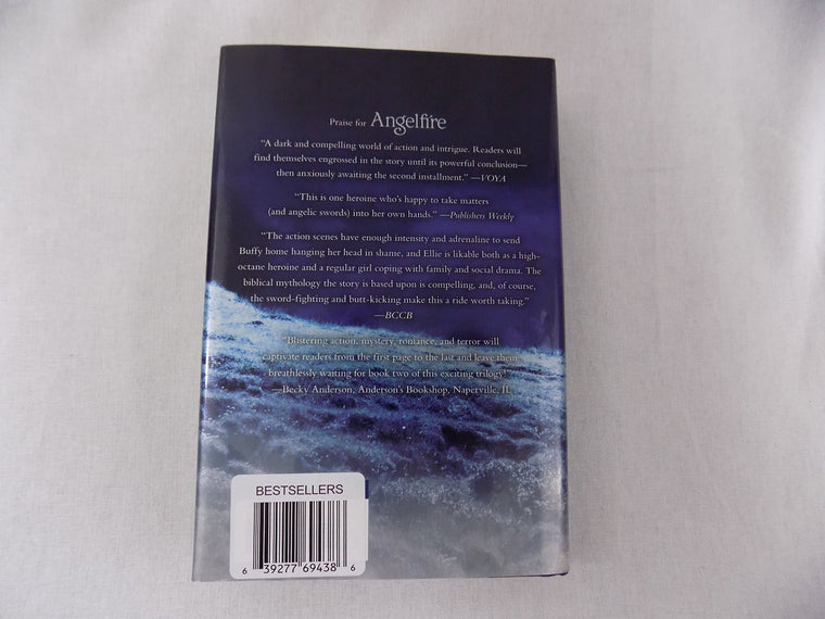 Wings of the Wicked (Angelfire, 2) — back cover