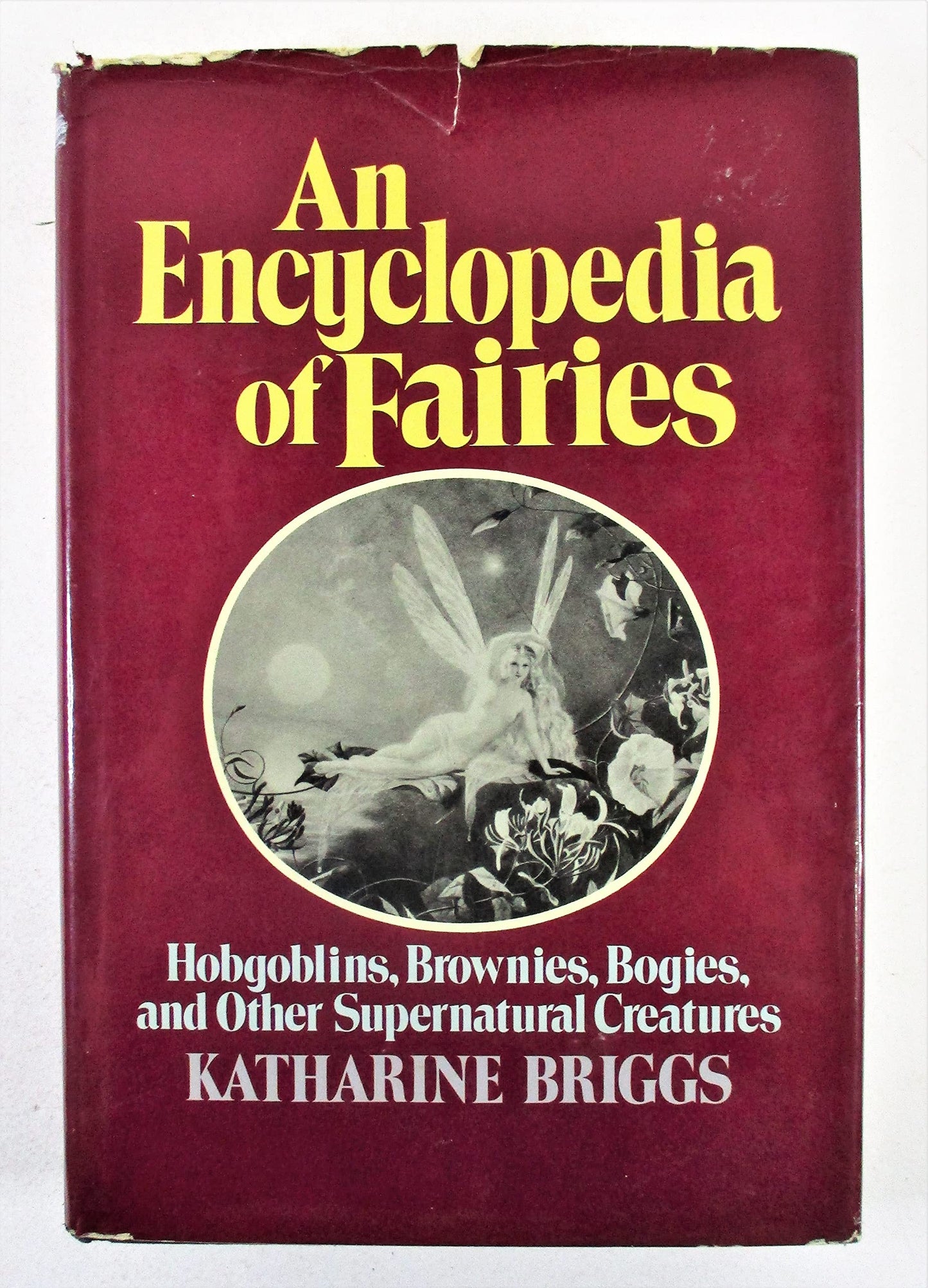 An Encyclopedia of Fairies: Hobgoblins, Brownies, Bogies