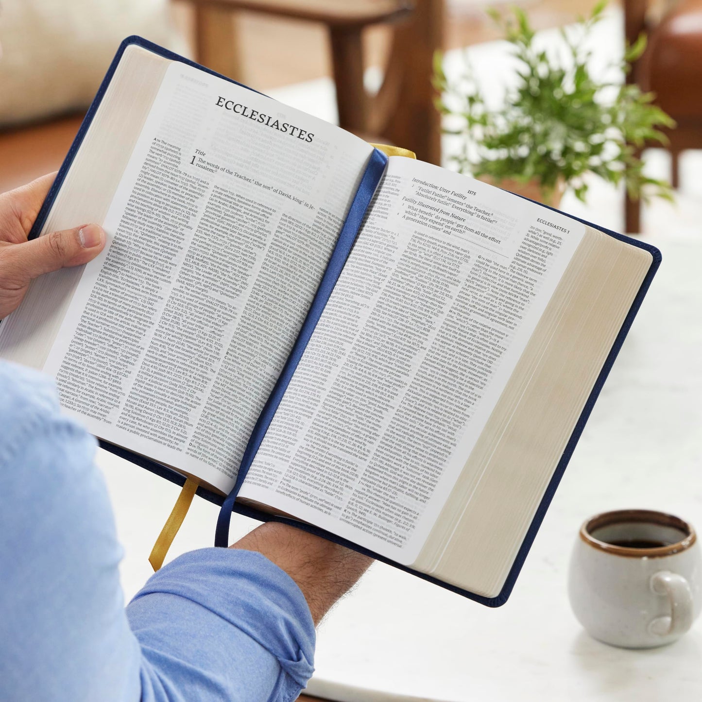 NET Bible, Full Notes Edition (NET, Black Leathersoft, Comfort Print): Holy Bible