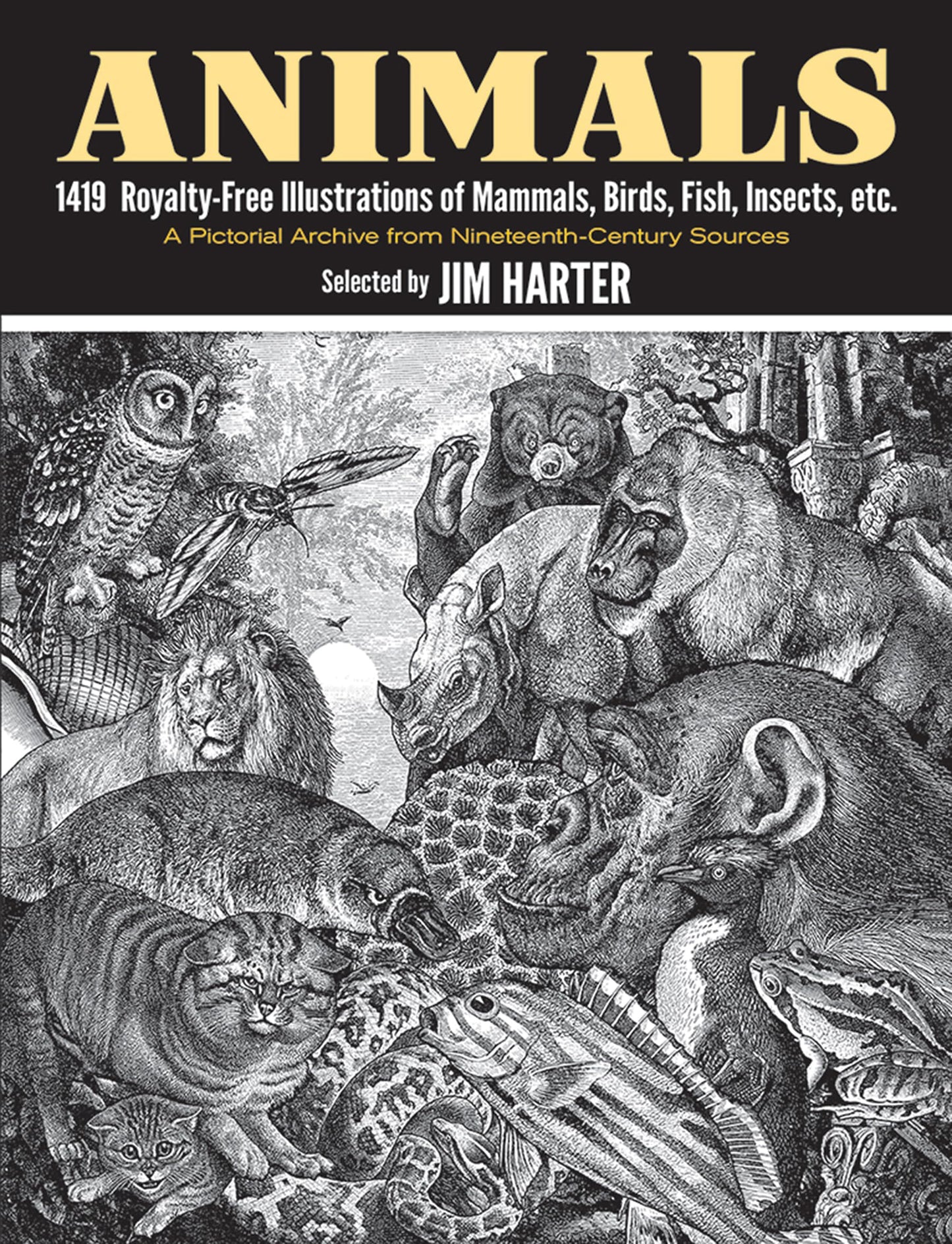 Animals: 1,419 Copyright-Free Illustrations of Mammals, Birds, Fish, Insects, etc (Dover Pictorial Archive)