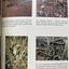 Ecology and Natural History of Desert Lizards: Analyses of the Ecological Niche and Community Structure (Princeton Legacy Library, 5153)