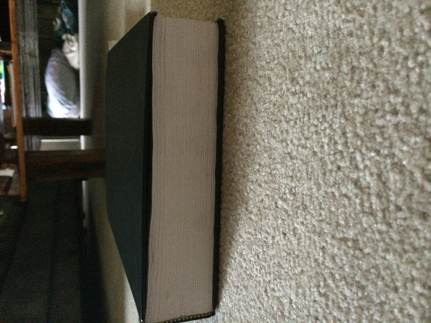 Janson's History of Art: The Western Tradition (8th Edition)
