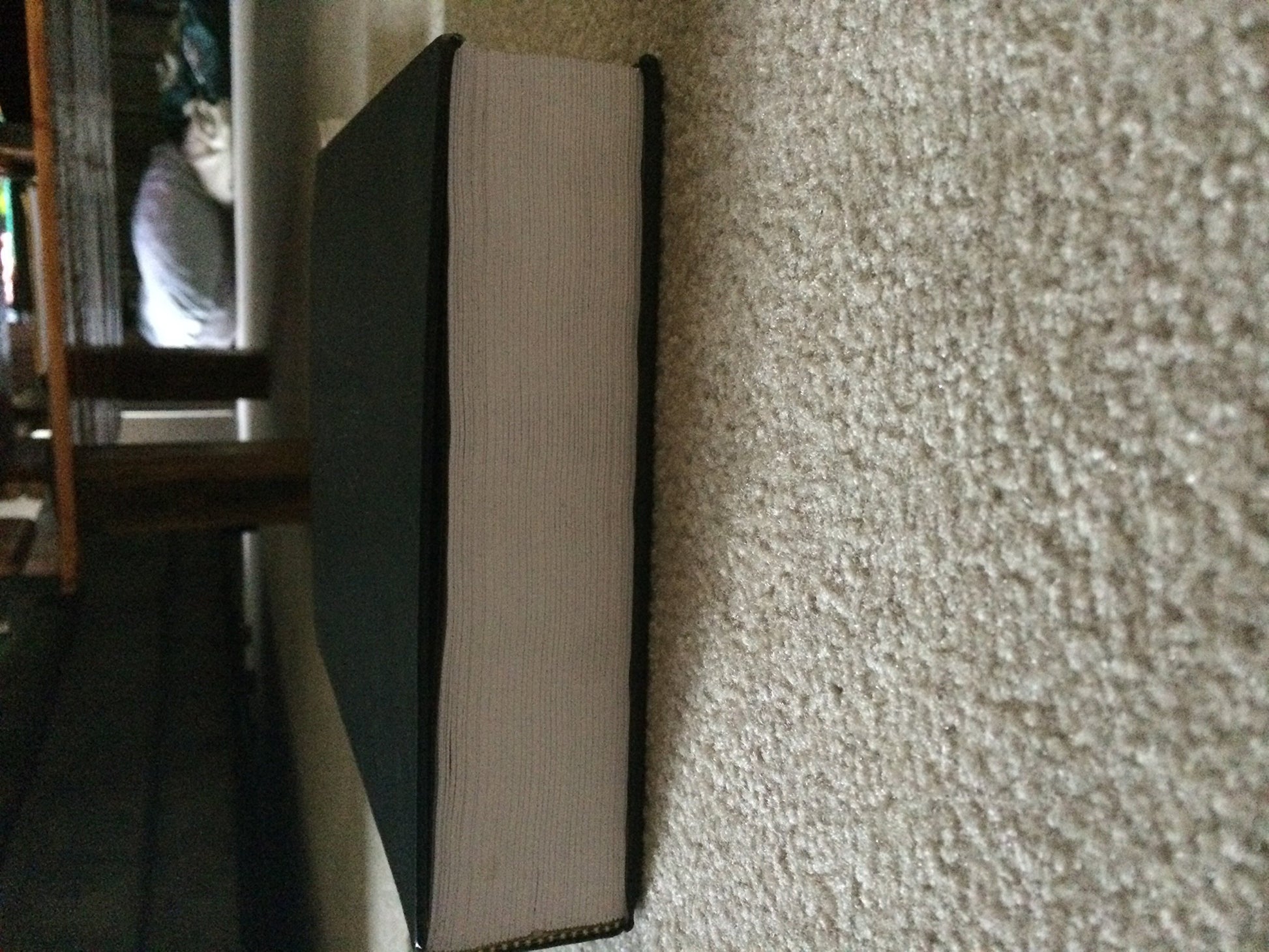 Janson's History of Art: The Western Tradition (8th Edition)