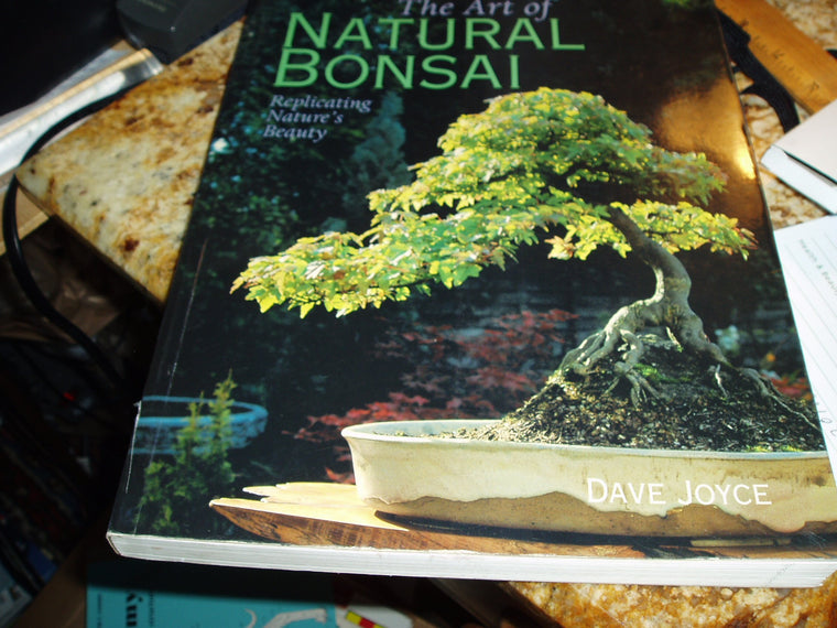The Art of Natural Bonsai: Replicating Nature's Beauty