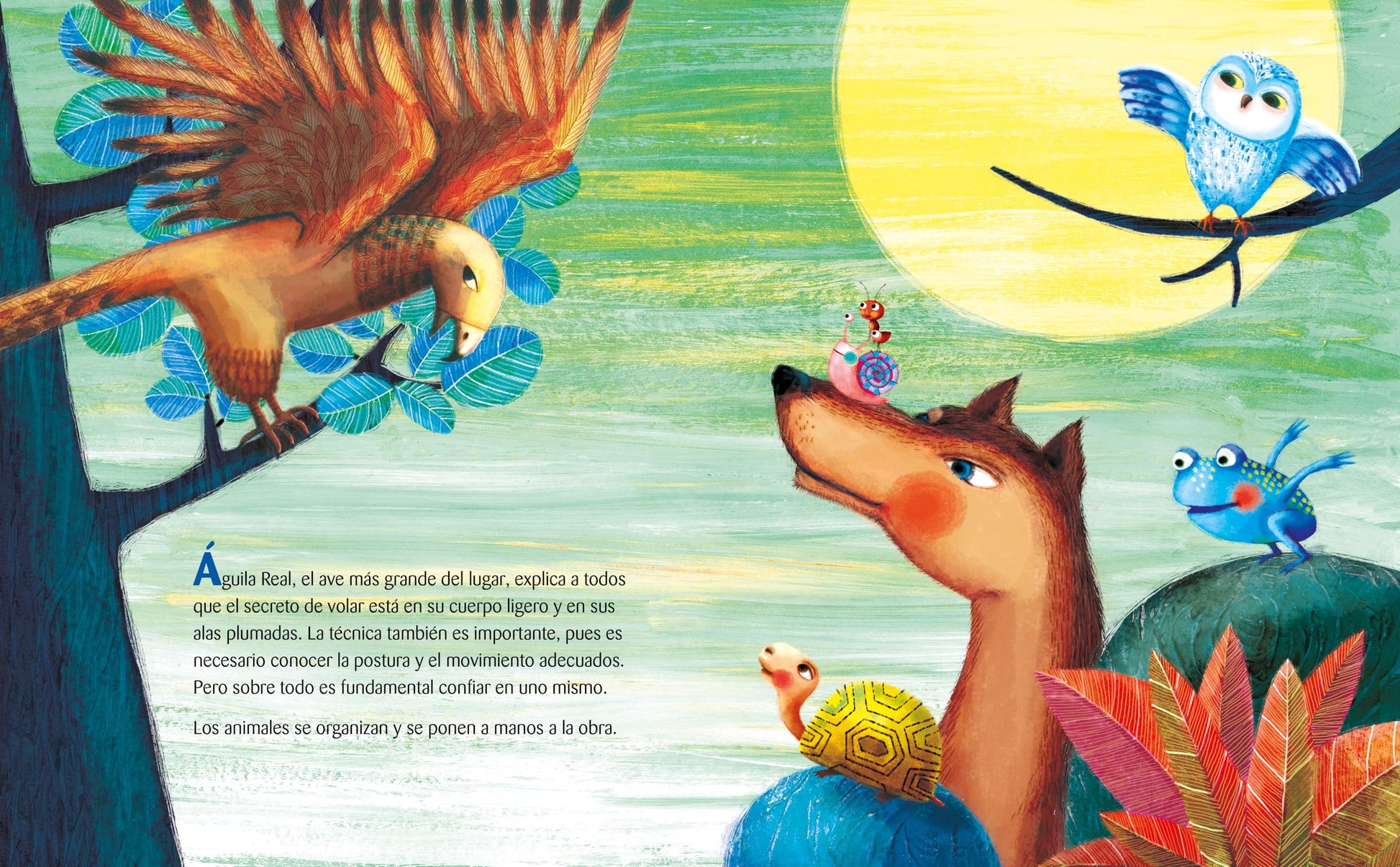Oso quiere volar (Bear Wants to Fly) (Spanish Edition)