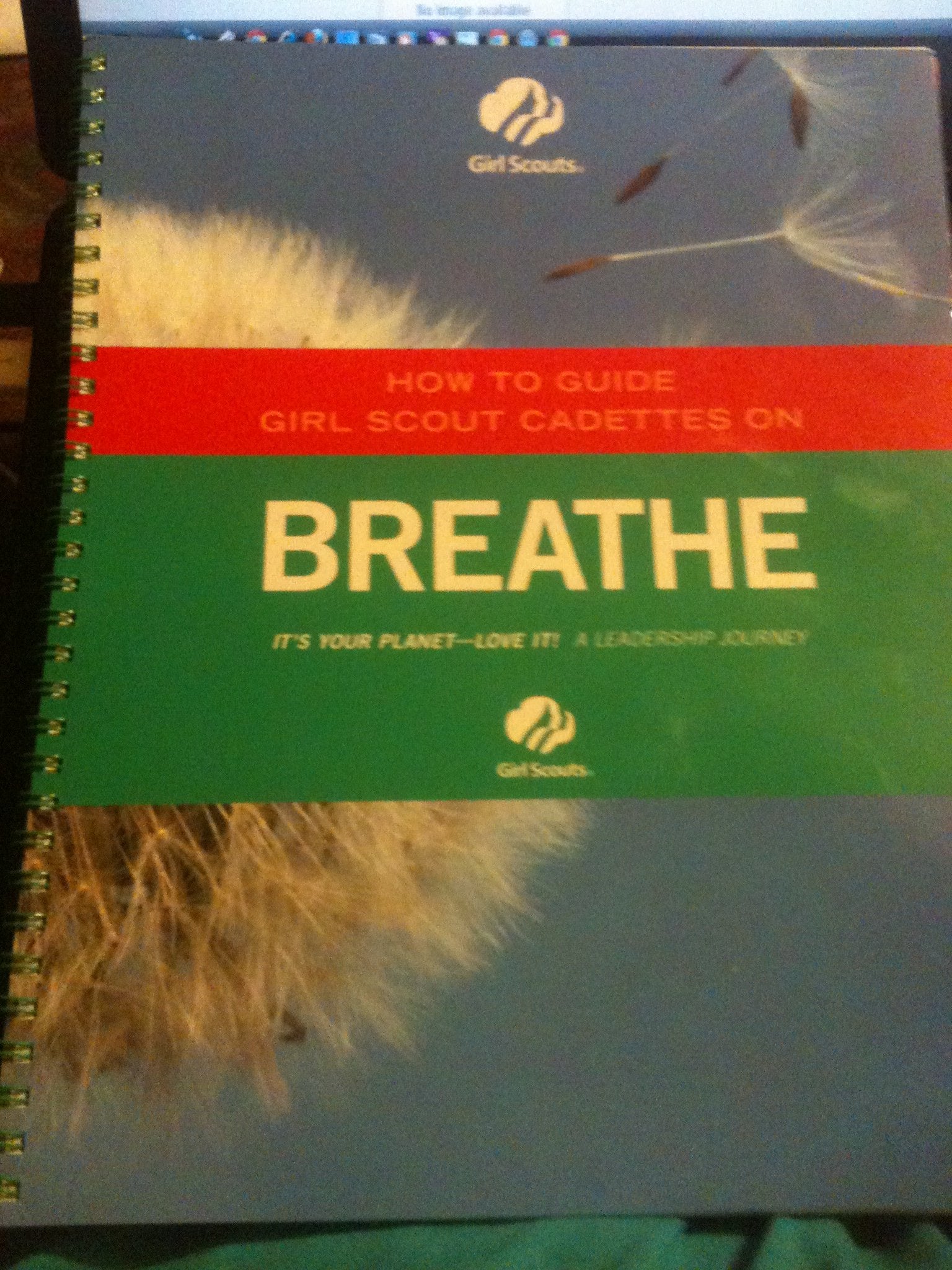 How to Guide Girl Scout Cadettes on "Breathe" Journey Book. Adult Guide