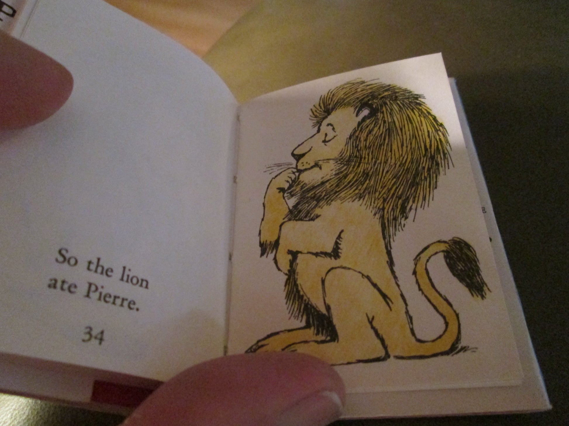 Pierre : A Cautionary Tale in Five Chapters and a Prologue