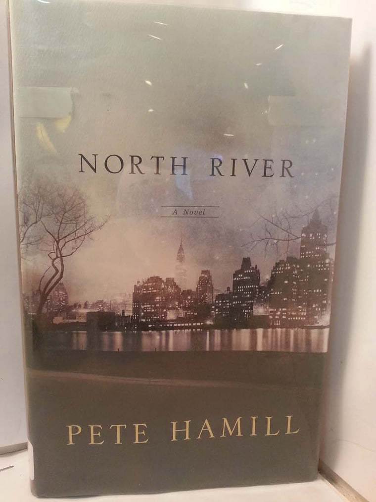 North River: A Novel
