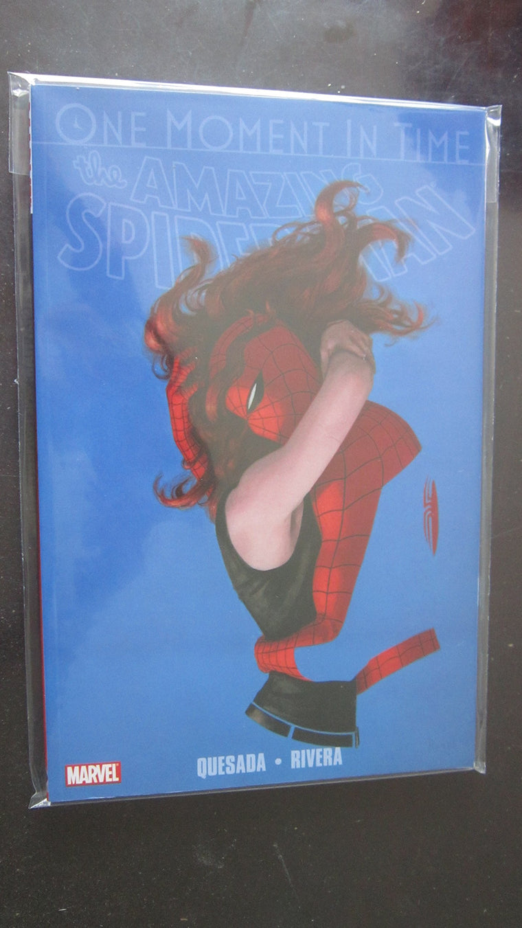 Spider-Man: One Moment in Time