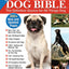 Original Dog Bible: The Definitive Source for All Things Dog (CompanionHouse Books) Your Dog, A to Z - Training, Behavior, and Grooming Tips, Breed Profiles, Health Remedies, Fun Activities, and More